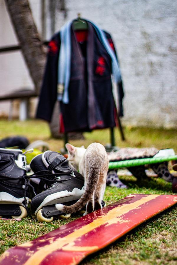 Gato Do Mato Hostel Кумбуку Екстер'єр фото